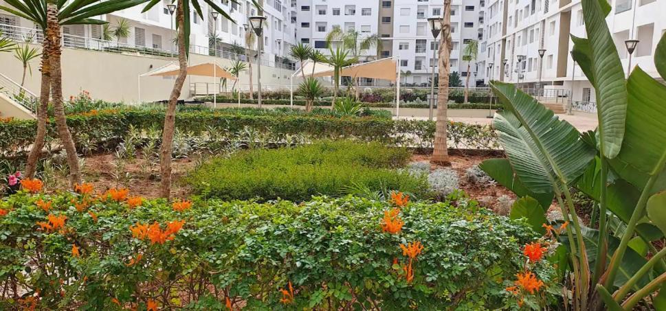 In Aagadir, Morocco * Agadir